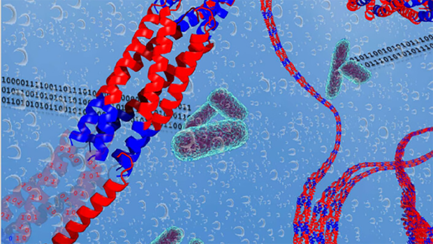 Illustration of coiled proteins delivering drugs.