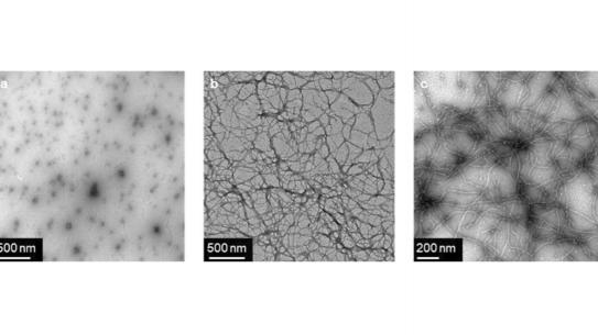 3 slides of grey microscopic hydrogel