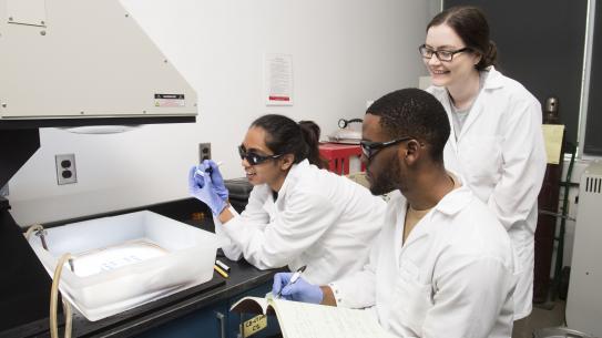 Students working in research lab