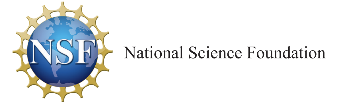 NSF logo